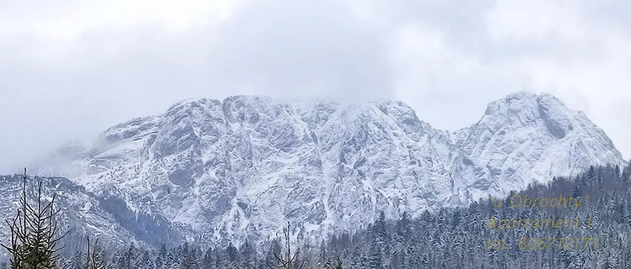 Homestay U Obrochty Apartment Zakopane Poland